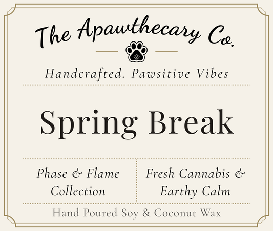 Product label for 'Spring Break' from The Apawthecary Co. with branding and product details.