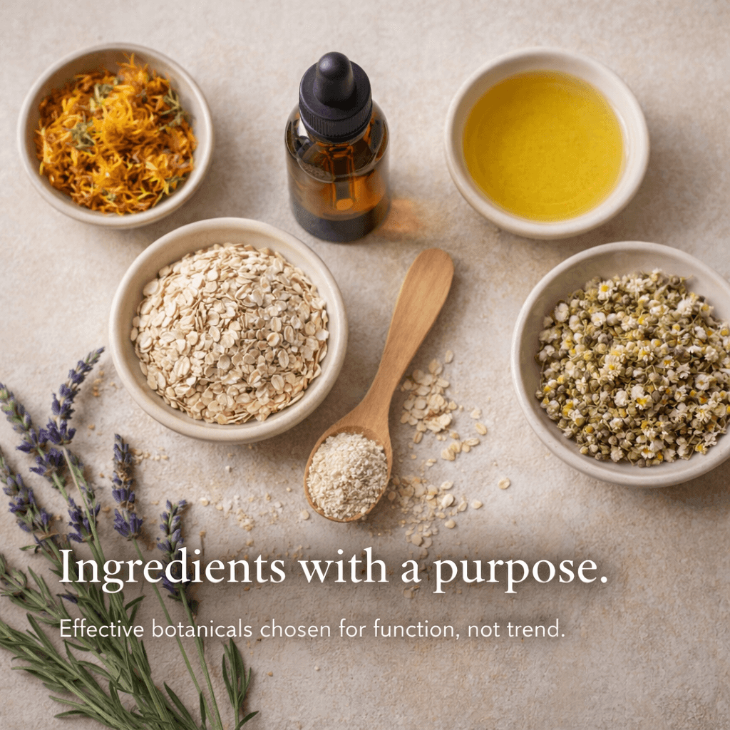 Botanicals Article, image with herbs for infusions