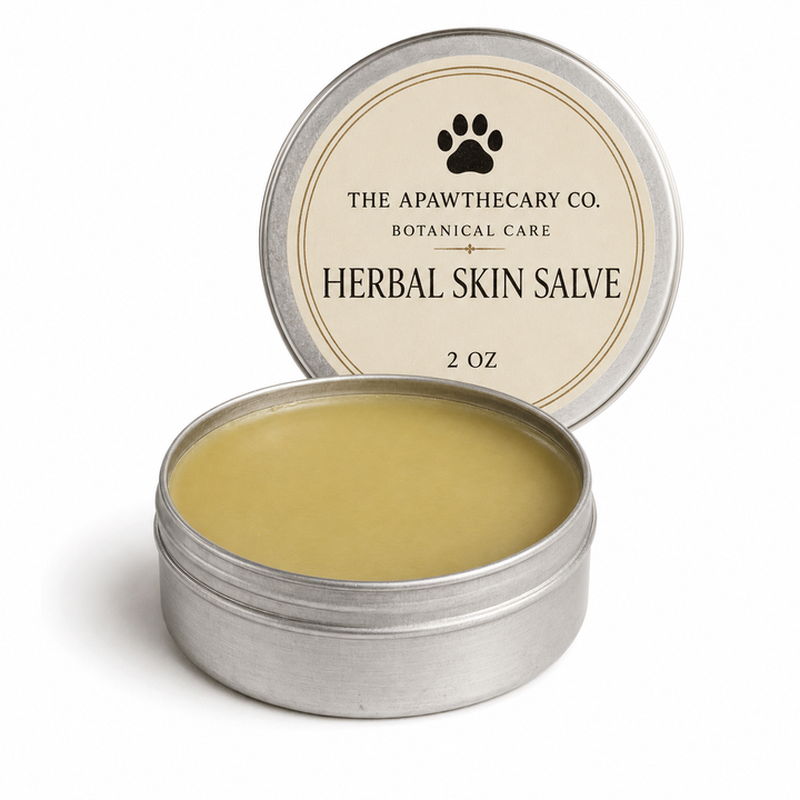 An open round silver tin of The Apawthecary Co. Herbal Skin Salve, showing the pale yellow balm inside, with the matching lid leaning behind it on a white background.