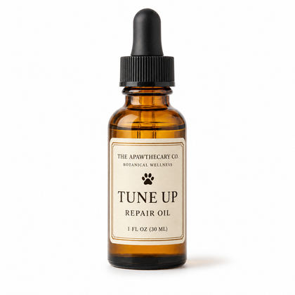 An amber glass dropper bottle of 'Tune Up Repair Oil' by The Apawthecary Co. Botanical Wellness, featuring a cream-colored label and a black dropper cap, set against a plain white background.