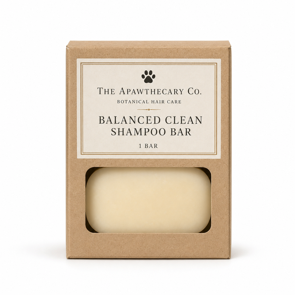 The Apawthecary Co. Balanced Clean Shampoo Bar in a kraft paper box with a clear window showing the cream-colored shampoo bar inside.
