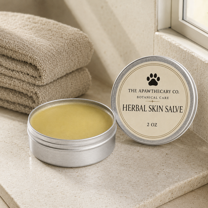 An open round silver tin of herbal skin salve sits on a beige countertop beside its lid, which shows the brand label 'The Apawthecary Co. Botanical Care Herbal Skin Salve 2 oz'.