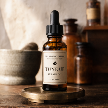 A 1 fl oz amber glass dropper bottle of 'Tune Up Repair Oil' by The Apawthecary Co., displayed on a round brass tray over a rustic wooden table with blurred apothecary jars in the background.