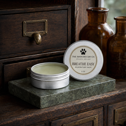 An open round metal tin of Breathe Easy Respiratory Balm sits on a dark stone slab next to its lid, which displays the brand 'The Apawthecary Co'. The setup is styled with vintage amber glass bottles and a dark wooden cabinet in the background.