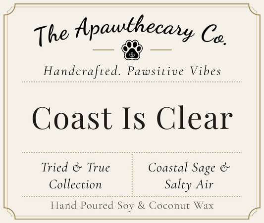 Product label for 'Coast Is Clear' candle from The Apawthecary Co. with branding and product details.