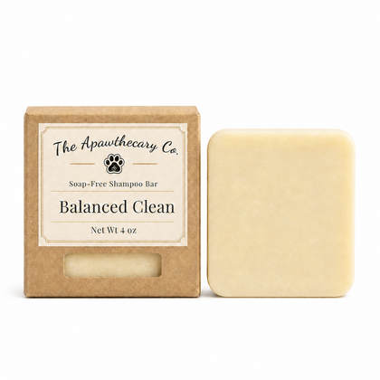 Balanced Clean soap-free shampoo bar beside its kraft box on a white background.