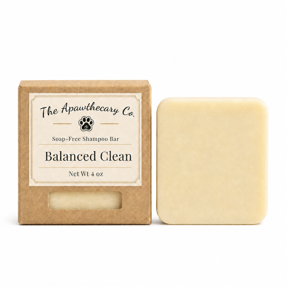 Balanced Clean soap-free shampoo bar beside its kraft box on a white background.