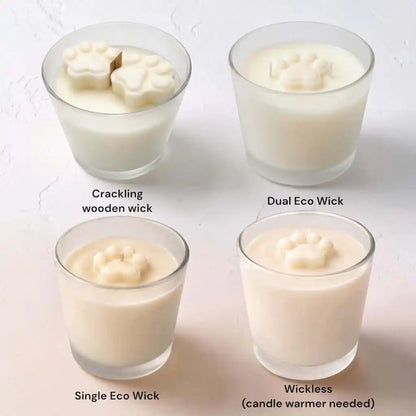 Four glass candle holders with different wick types on a white background