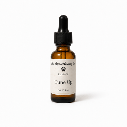 One-ounce amber dropper bottle of Tune Up fragrance-free botanical skin oil on a white background.