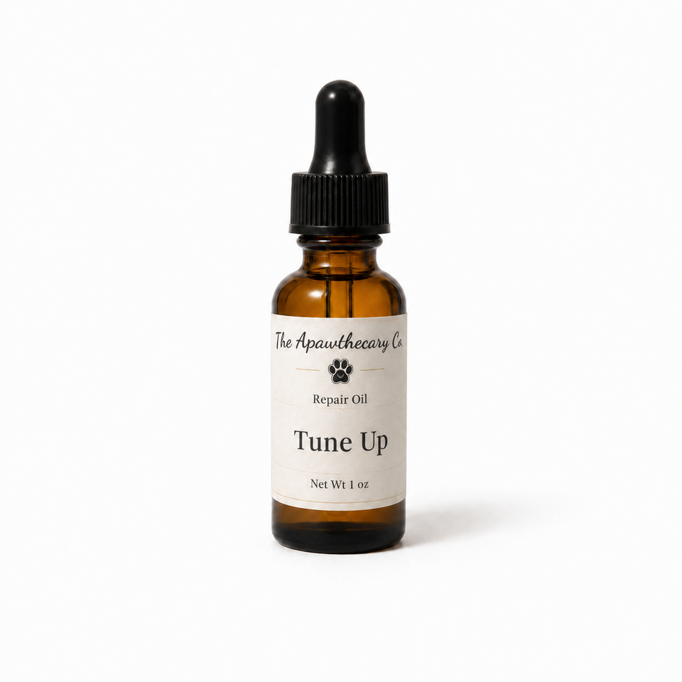 One-ounce amber dropper bottle of Tune Up fragrance-free botanical skin oil on a white background.