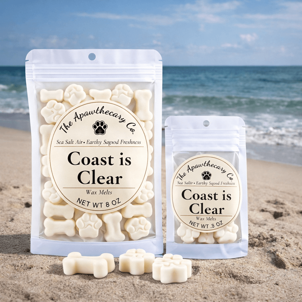 Signature soy & coconut wax melts in beach setting, featuring Coast is Clear fragrance in 8 oz packages.