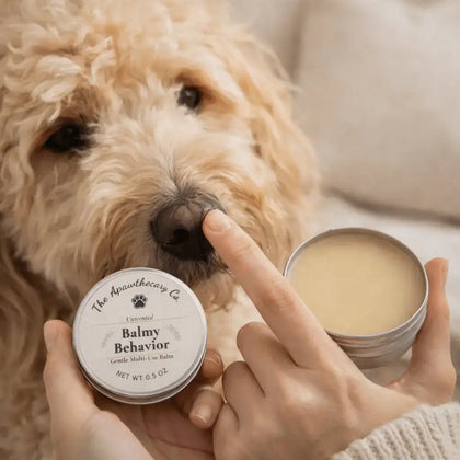 Dog sniffing a container of 'Balmy Behavior' balm held by a person.