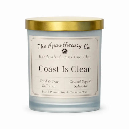Candle with gold lid and label from The Apawthecary Co. on a white background