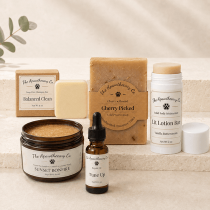 Everything Shower and Aftercare set with shampoo bar, soap, sugar scrub, skin oil, and solid moisturizer.