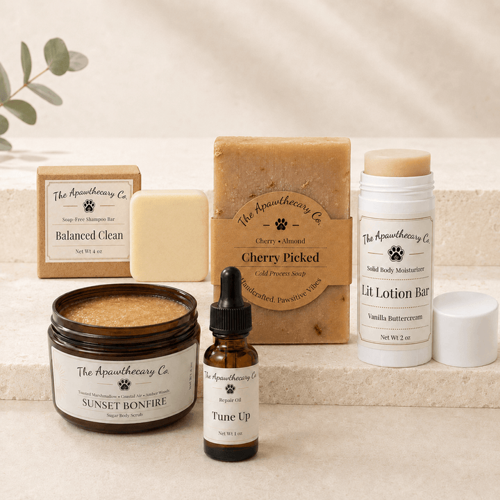 Everything Shower and Aftercare set with shampoo bar, soap, sugar scrub, skin oil, and solid moisturizer.