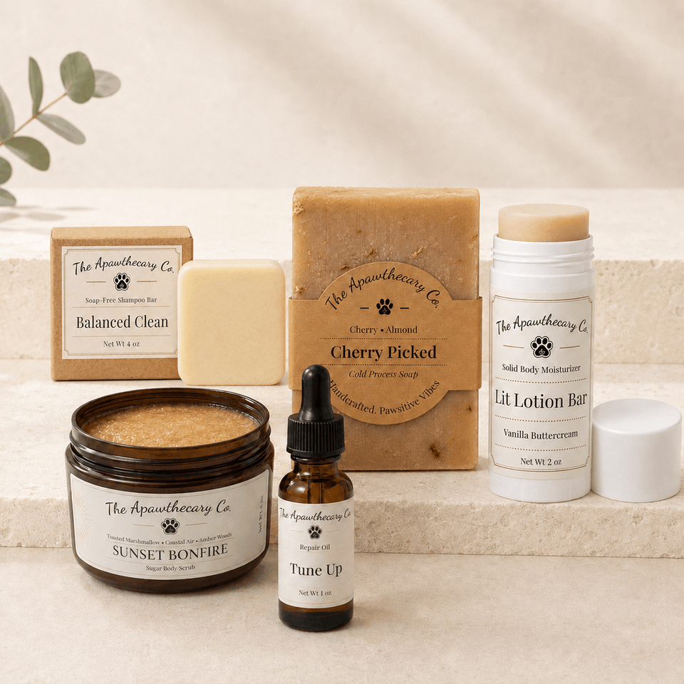 Everything Shower and Aftercare set with shampoo bar, soap, sugar scrub, skin oil, and solid moisturizer.