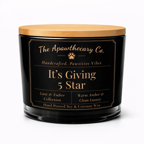 Black candle with wooden lid and 'The Apawthecary Co.' label on a white background