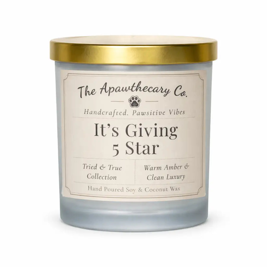 It’s Giving 5 Star — Citrus, Ocean Air & Soft Woods Candle