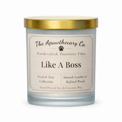 Candle with gold lid and label from The Apawthecary Co. on a white background