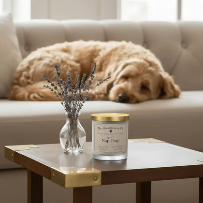 Candle labeled 'Nap Trap' on a table with a vase of lavender and a dog resting on a couch in the background.