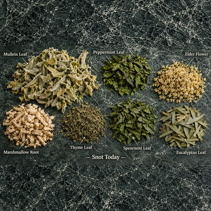 Snot Today ingredients: mullein, peppermint, elder flower, marshmallow root, thyme, spearmint, and eucalyptus.