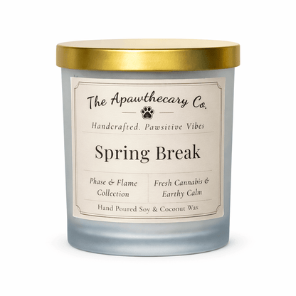 Candle with a gold lid and label from The Apawthecary Co. on a white background